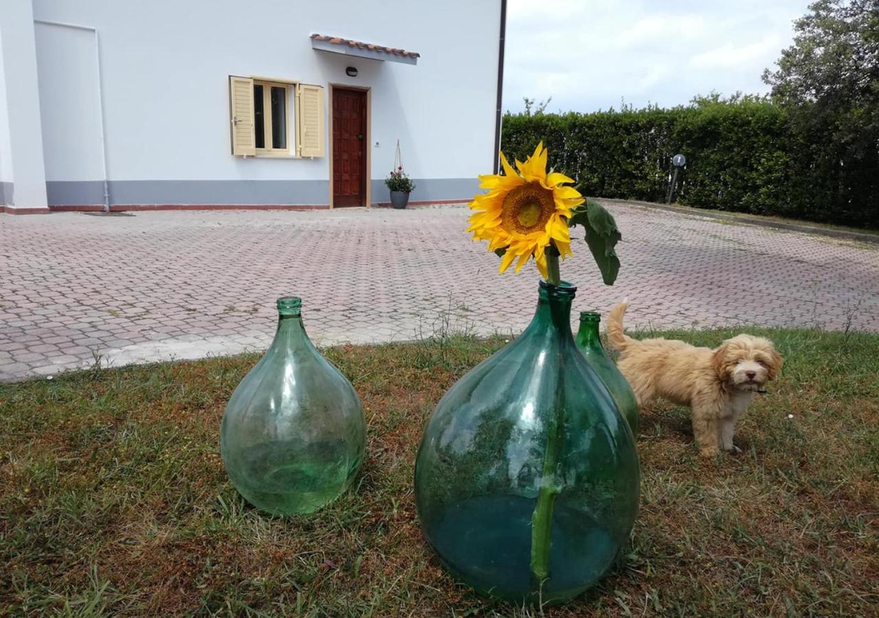 Casa Amrita, Yoga B&B Teramo Ngoại thất bức ảnh